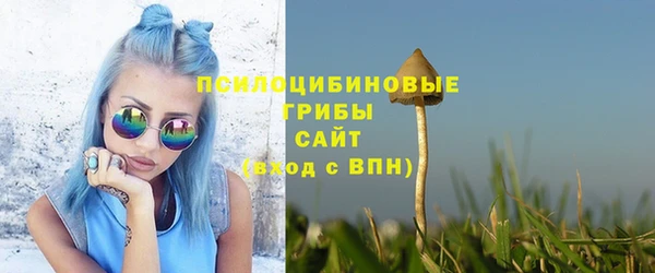 кокс Михайлов