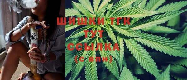 сатива Михайловка