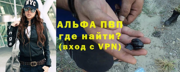 сатива Михайловка