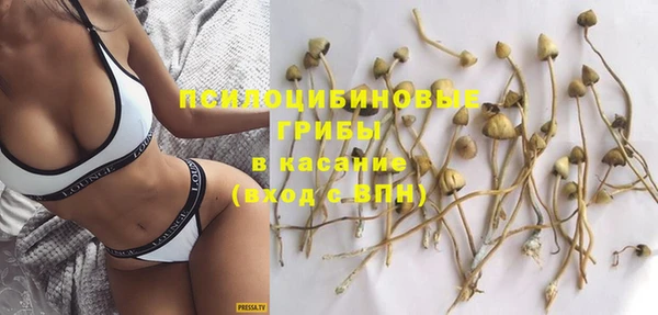 кокс Михайлов