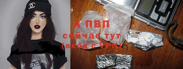 сатива Михайловка