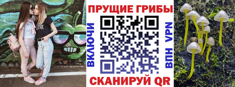 Псилоцибиновые грибы мухоморы Новопавловск